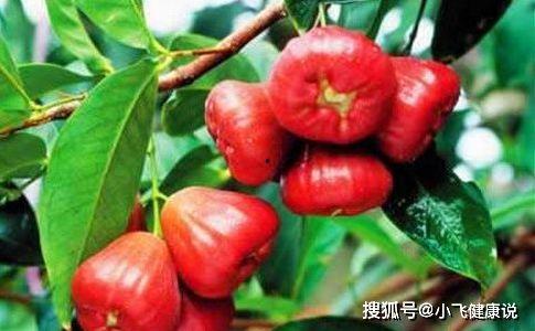 娱乐吃瓜酱皮肤管理,皮肤管理新潮流 第2张 娱乐吃瓜酱皮肤管理,皮肤管理新潮流 第2张