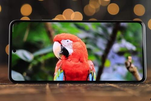 redmik70系列最新爆料,性能与设计双升级，旗舰体验再升级  第2张