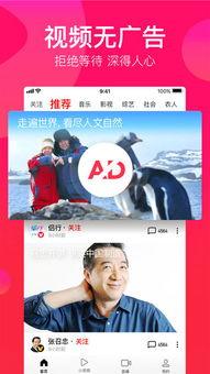 吃瓜调侃视频下载免费观看,免费下载观看，揭秘吃瓜调侃视频的魅力  第3张